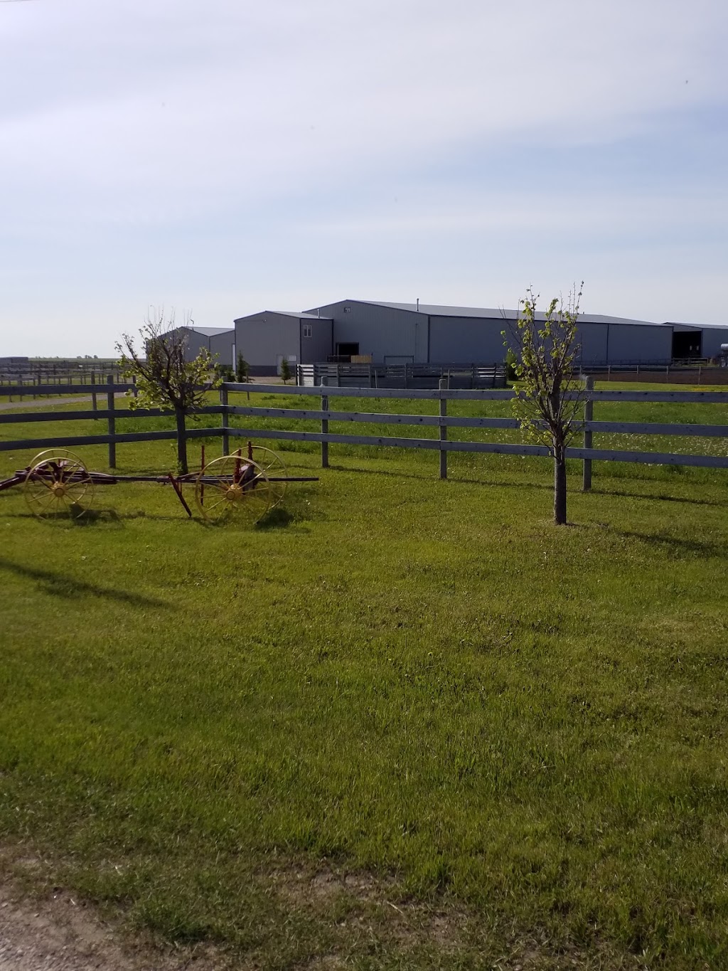 L and M Stables | Range Rd 271, Alberta T0M, Canada, Canada | Phone: (403) 935-7734