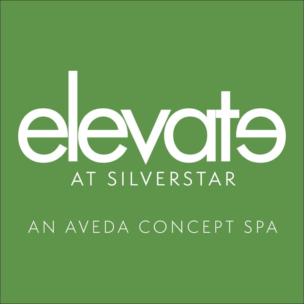 Elevate at SilverStar | Silver Star Mountain, 123 Shortt St, North Okanagan C, BC V1B 3M1, Canada | Phone: (250) 558-6001