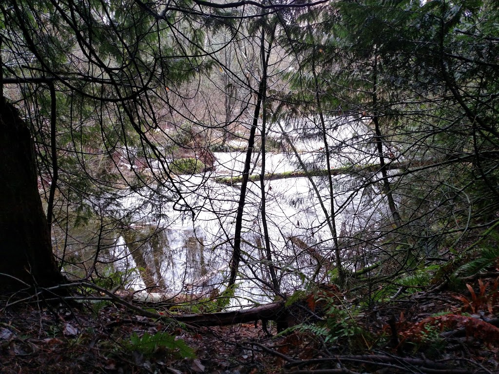 Berthusen Park | 8837 Berthusen Rd, Lynden, WA 98264, USA | Phone: (360) 354-2424