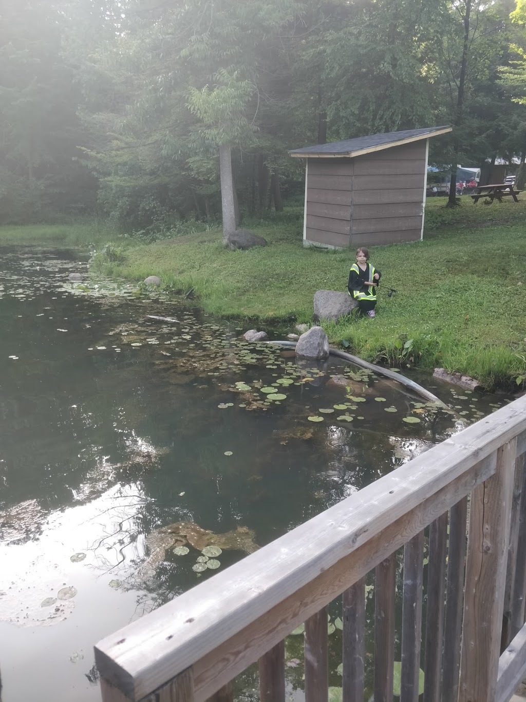 Nith River Campground | 4417 Wilmot Easthope Rd, New Hamburg, ON N3A 3S8, Canada | Phone: (519) 662-3784