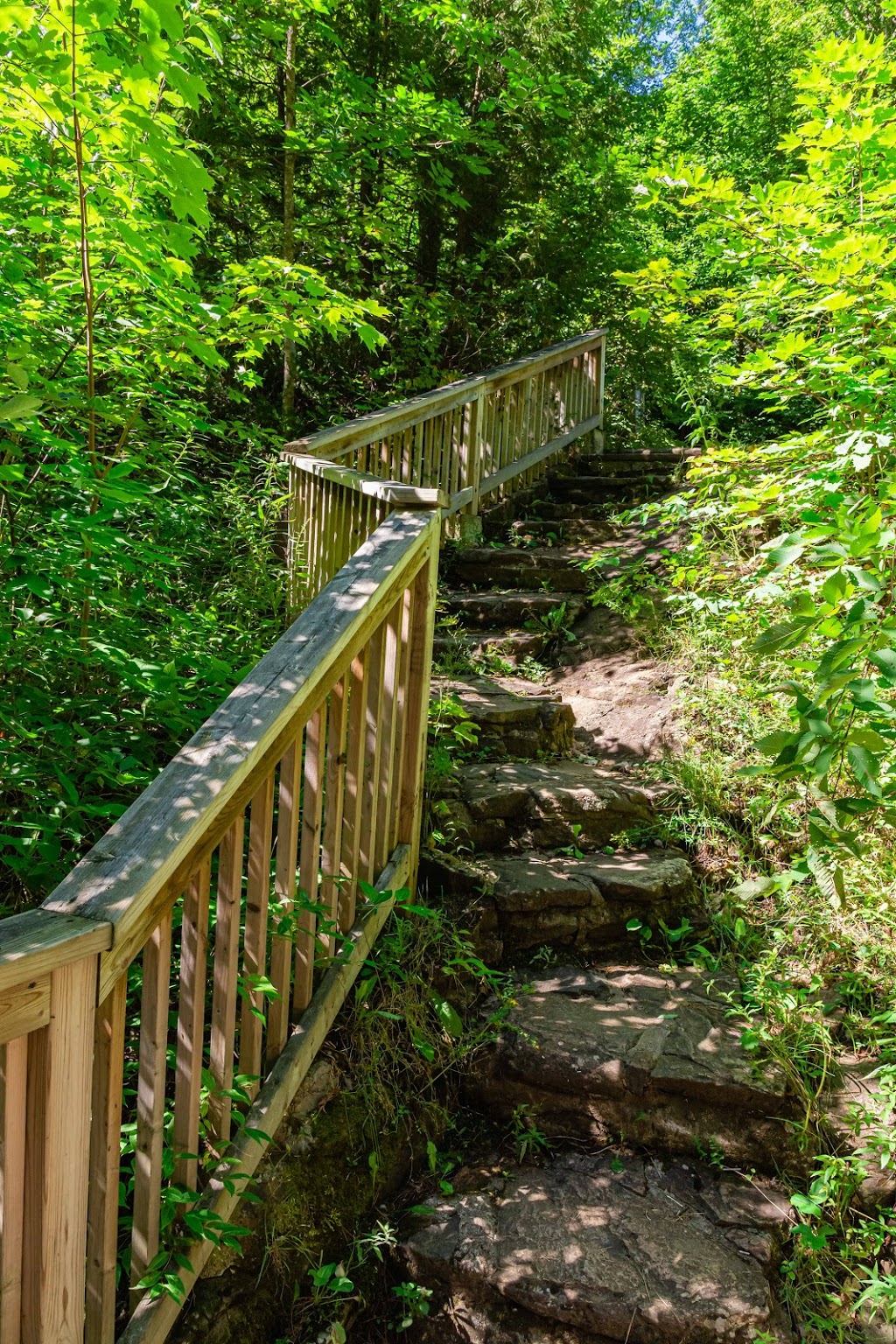 Crests Of Kennisis Trailhead | Algonquin Highlands, ON K0M 1J2, Canada | Phone: (705) 766-9033