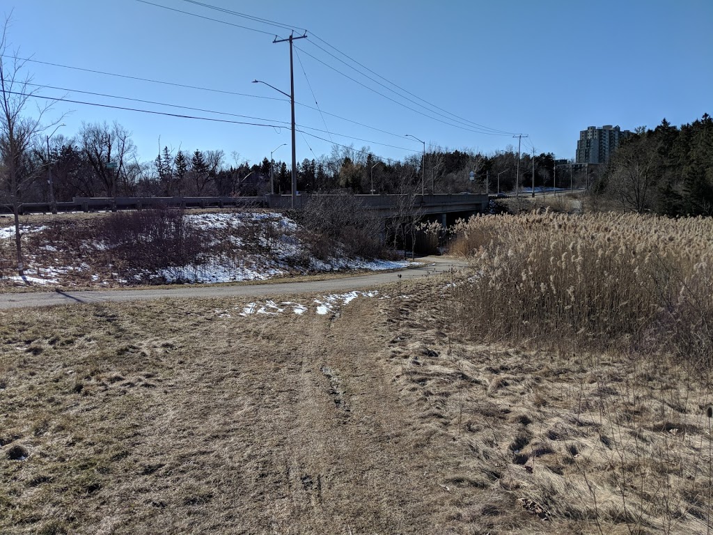 Marguerite Ormston Trailway on the Walter Bean Grand River Trail | park | 2200 Homer Watson Blvd, Kitchener, ON N2P 1A5, Canada | 5197412345 OR +1 519-741-2345