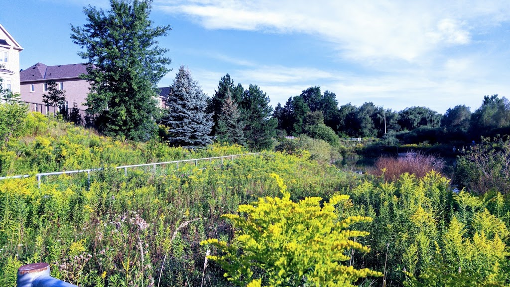 Windham Parkette | 28 New Mill Crescent, Richmond Hill, ON L4C 4N2, Canada | Phone: (905) 771-2525