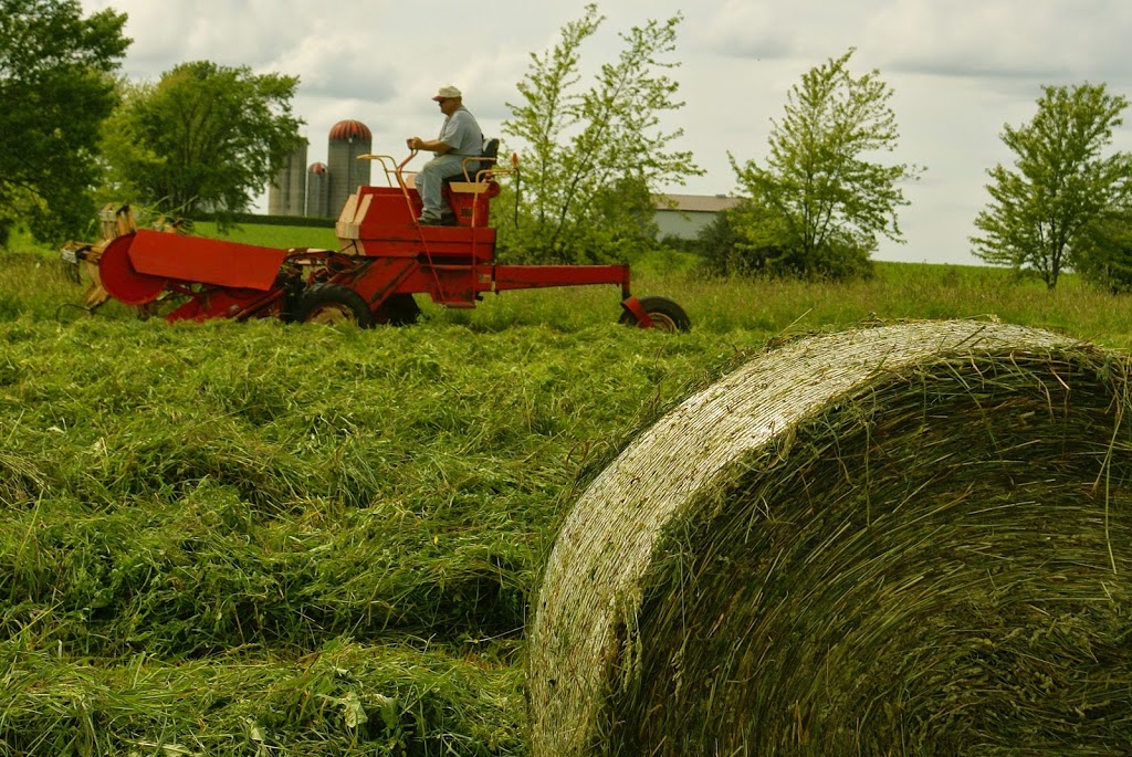Marywood Breeders Group | 8491 Concession Rd 14, Palmerston, ON N0G 2P0, Canada | Phone: (519) 362-5373
