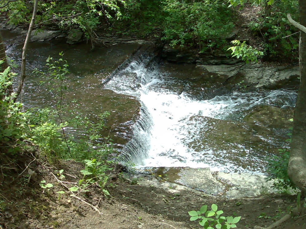 Ruisseau-De Montigny Nature Park - Anjou, QC H1J 2Y2, Canada