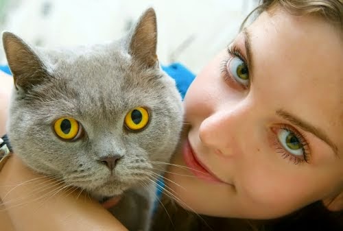 Islington Village Animal Hospital | 3852 Bloor St W, Etobicoke, ON M9B 1L1, Canada | Phone: (647) 347-2299