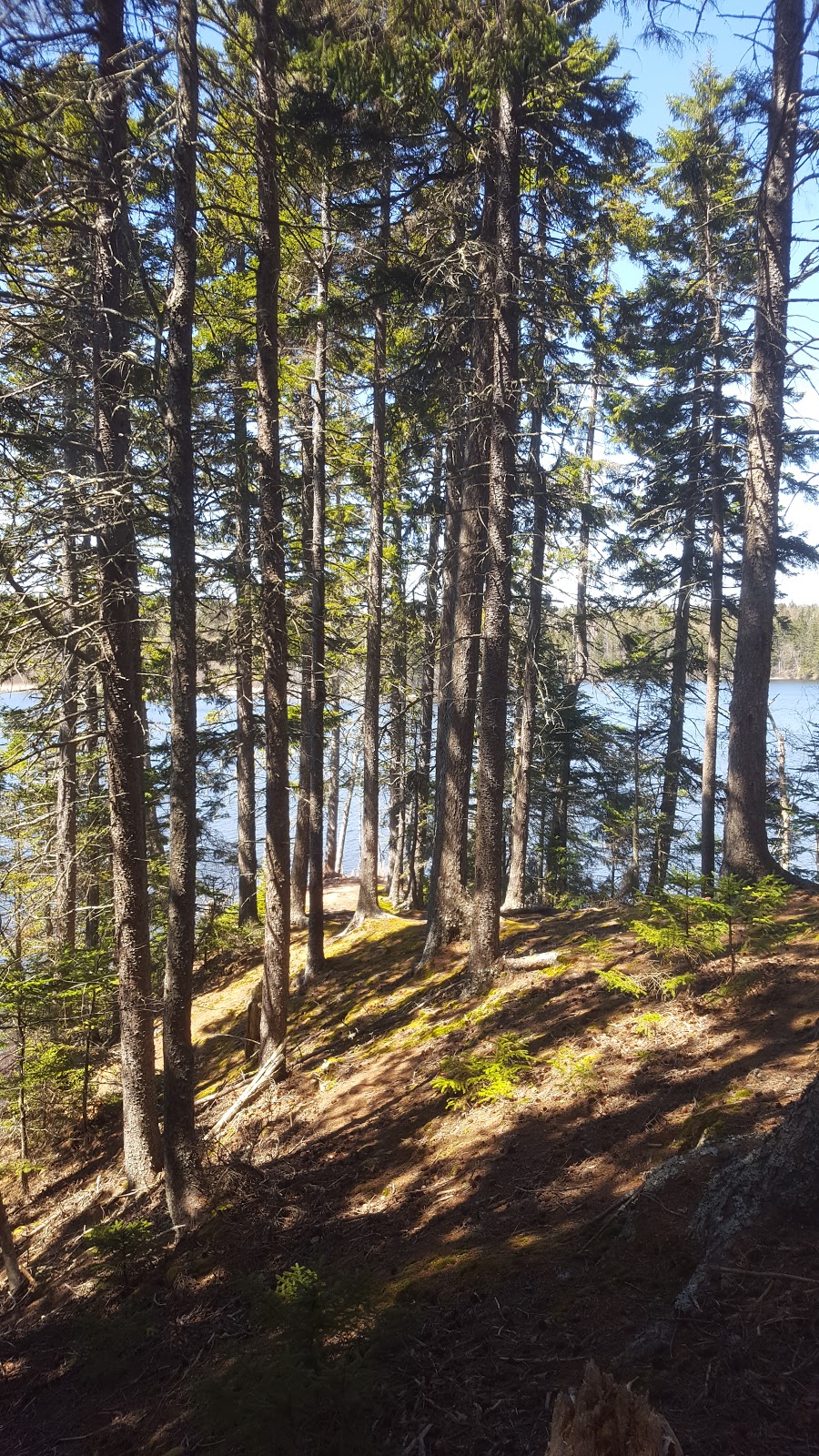 Chignecto National Wildlife Area | 930 Southampton Rd, Amherst, NS B4H 3Y4, Canada | Phone: (902) 426-1900