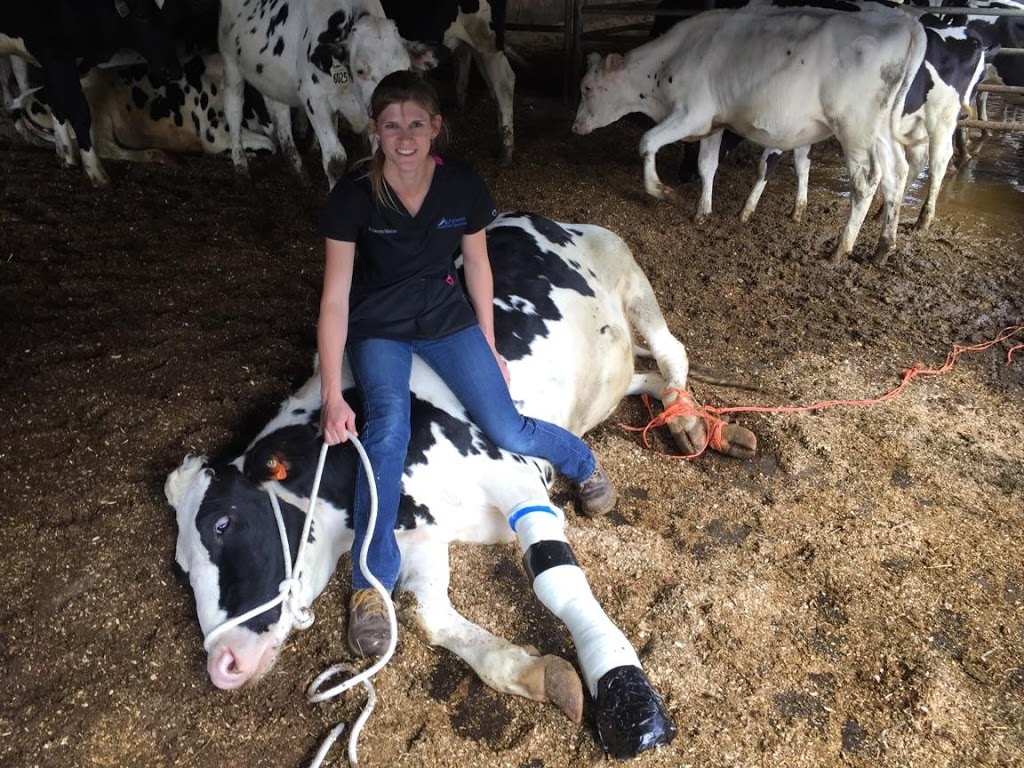 Agwest Veterinary Group Ltd. | 1625 Angus Campbell Rd, Abbotsford, BC V3G 2G4, Canada | Phone: (604) 229-7231