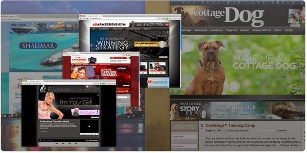 ACE WEB DESIGN™ | 116 Island Rd, Scarborough, ON M1C 2P8, Canada | Phone: (416) 286-2860