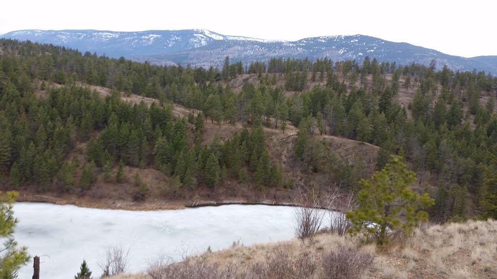 Okanagan Vacation Rental Home | 2530 Dubbin Rd, Kelowna, BC V1V 2B8, Canada | Phone: (604) 939-8910