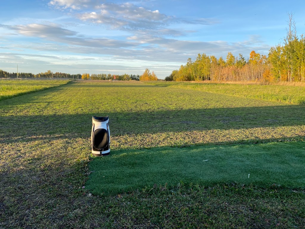 BiGG Golf Academy - Optimize Your Golf Game | 48447 Range Rd 10, Thorsby, AB T0C 2T0, Canada | Phone: (403) 597-5763