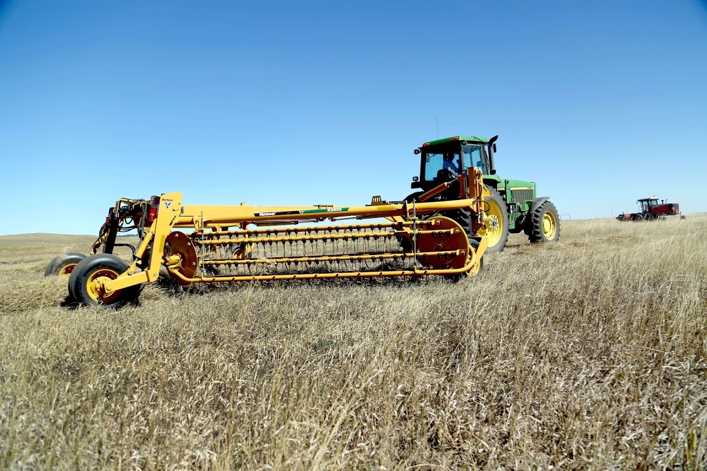 Norheim Ranching | Range Road 2270 and, SK-1, Moose Jaw, SK S6K 4P8, Canada | Phone: (306) 690-3424