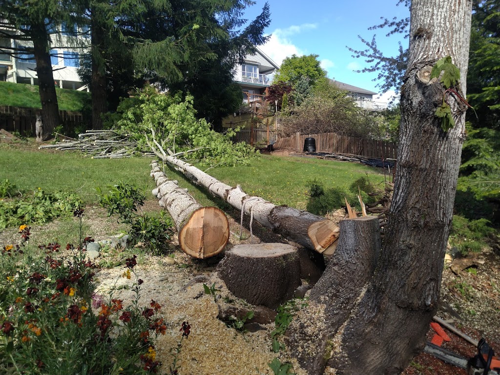 SK Tree Service | 828 New Glasgow Rd #224, Ebenezer, PE C1E 0T1, Canada | Phone: (902) 916-0119