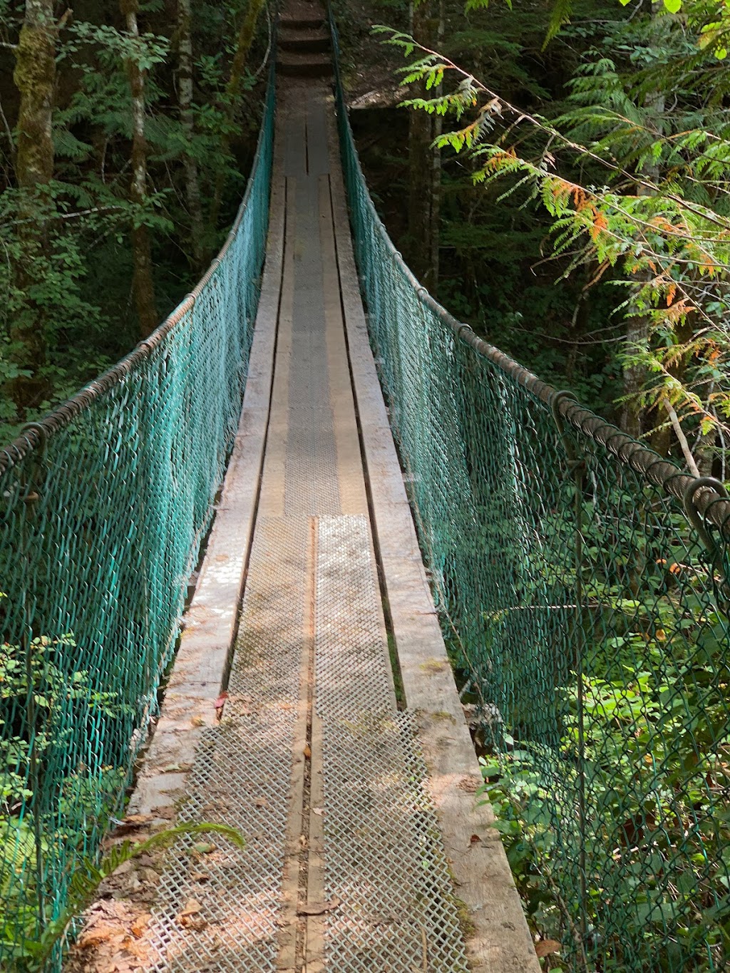 Fossli Provincial Park | Alberni-Clayoquot D, BC V0R 2B0, Canada | Phone: (250) 474-1336