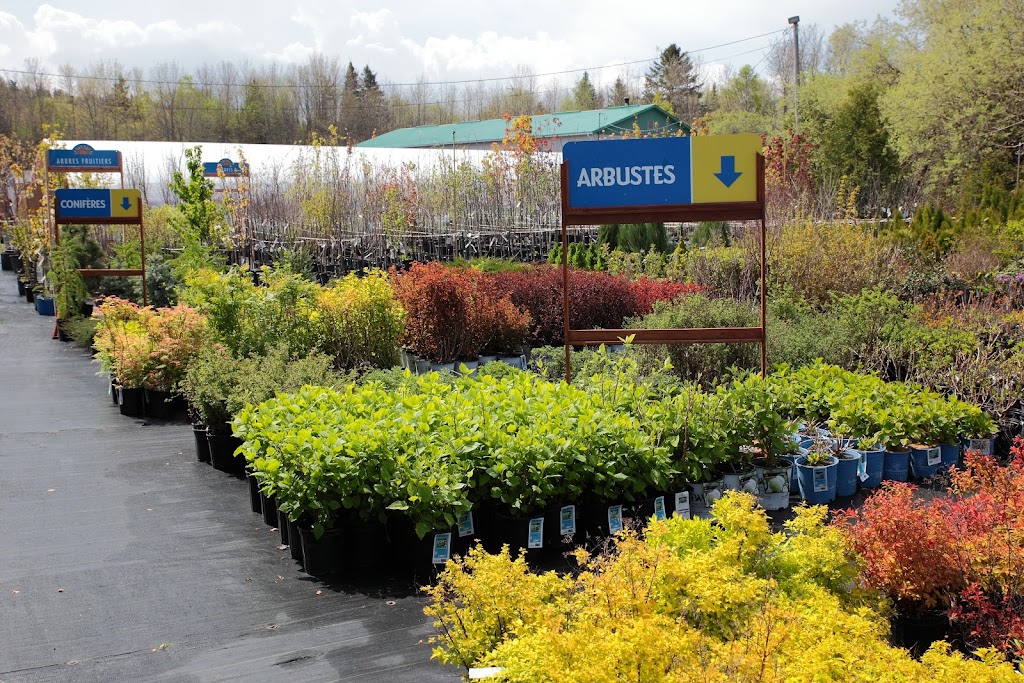 Michel Montminy Inc | 82 route 132 Ouest, La Pocatière, QC G0R 1Z0, Canada | Phone: (418) 856-2114