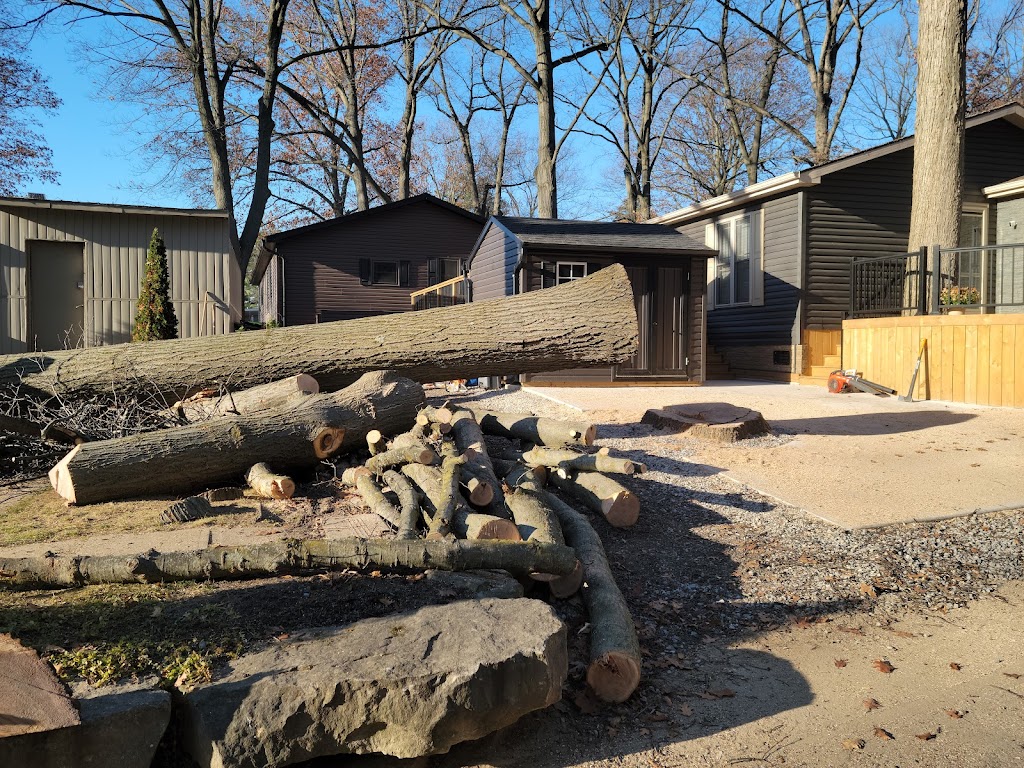 Family Tree Arborists | 693, Talmill Towers, 304 Talbot St, London, ON N6A 2T7, Canada | Phone: (519) 520-0806