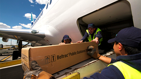 WestJet Cargo | 8063 22 St NE, Calgary, AB T2E 7Z6, Canada | Phone: (866) 952-2746