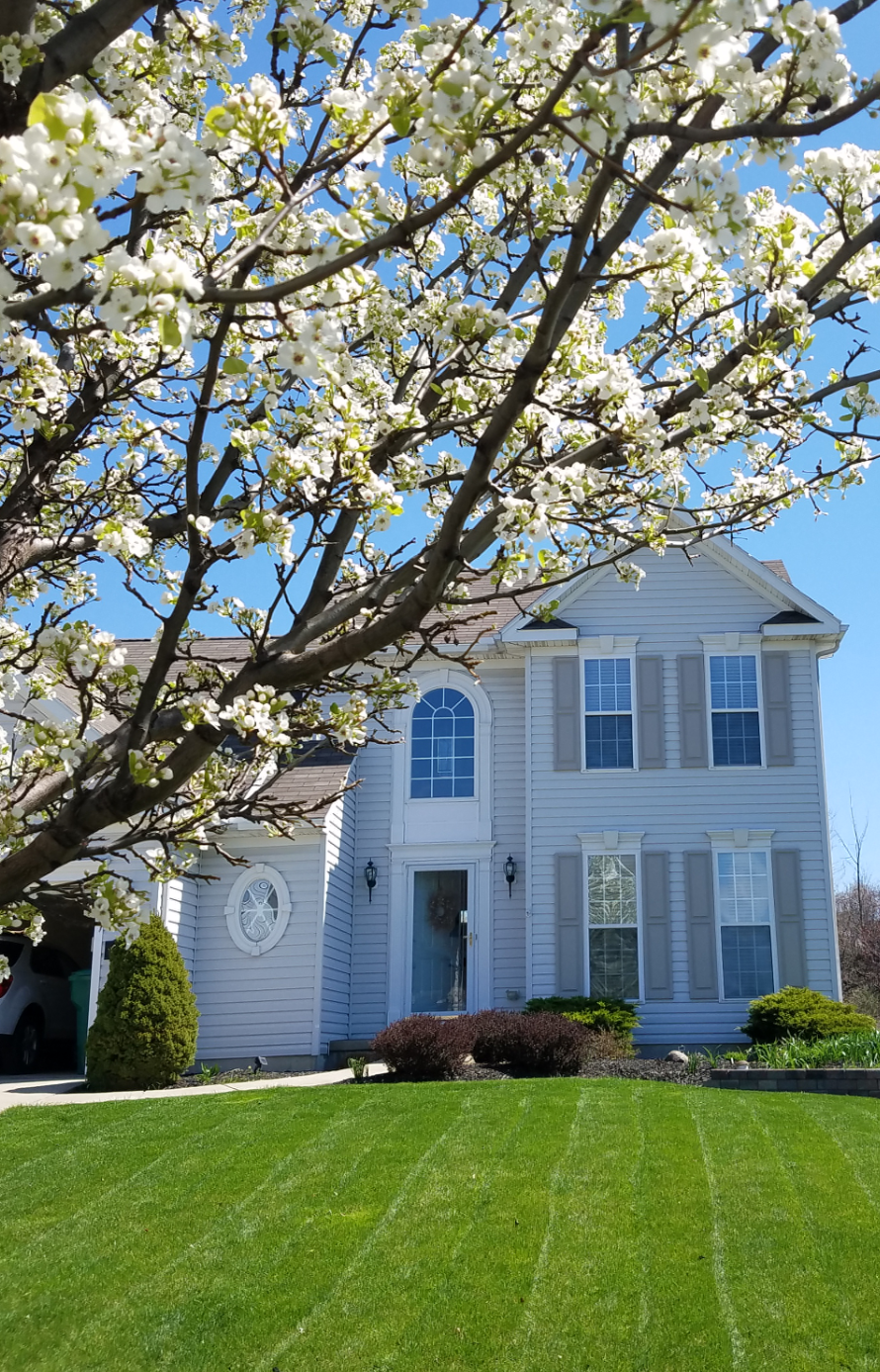 Van Tine Real Estate | 5020 Armor Duells Rd Unit 3, Orchard Park, NY 14127, USA | Phone: (716) 800-1155
