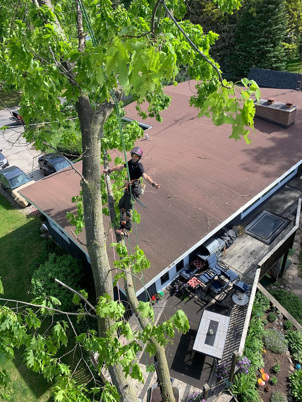 Shantz Tree Solutions | Oxford Waterloo Rd, New Dundee, ON N0B 2E0, Canada | Phone: (519) 588-5958