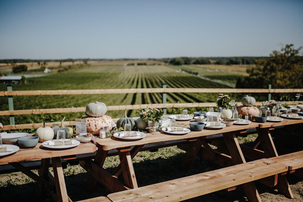 Vignoble & Microbrasserie Les Vents d'Ange 839 Chemin Principal