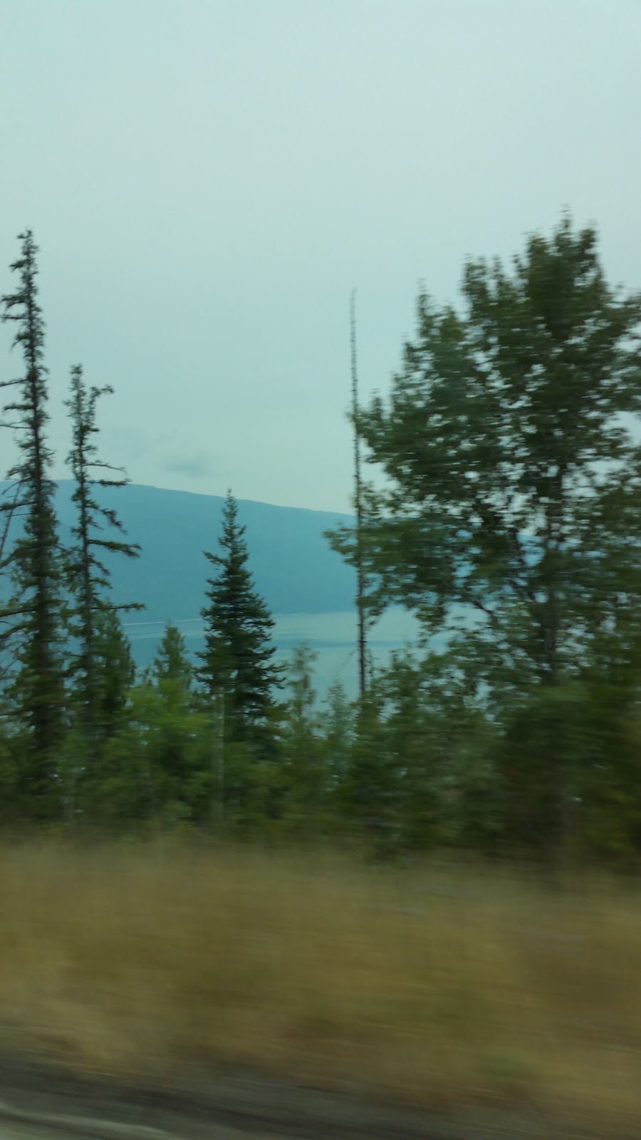 Artists House Heritage B&B | 20 Bruhn Rd, Sicamous, BC V0E 2V0, Canada | Phone: (250) 804-3596