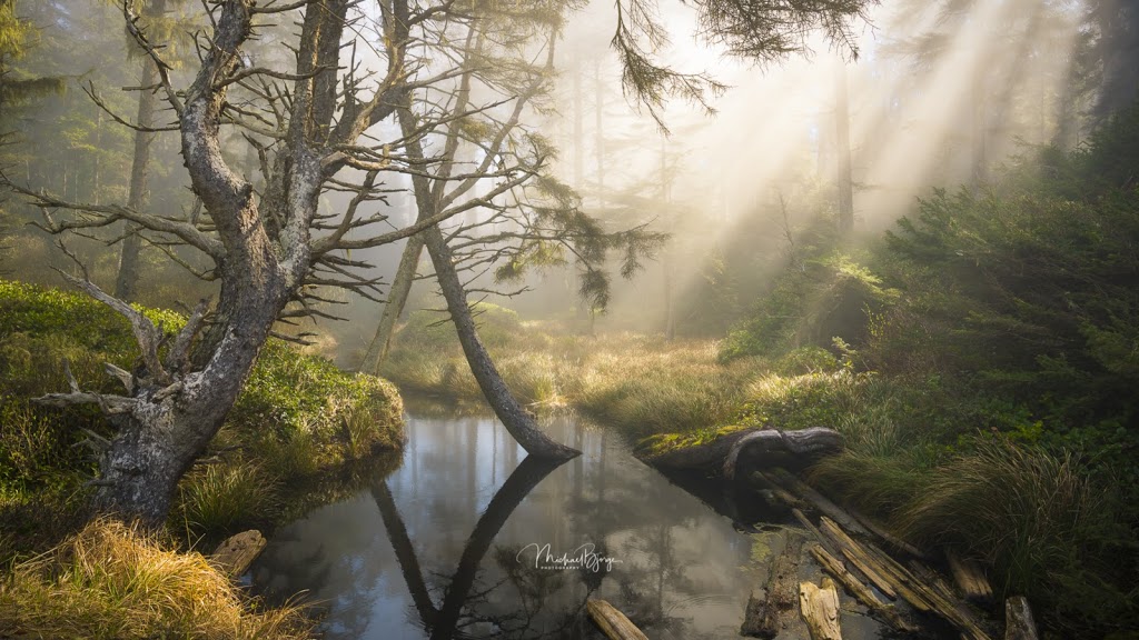 Michael Bjorge Fine Art Photography Gallery | 15833 26 Ave, South Surrey, BC V3Z 2X5, Canada | Phone: (604) 312-7572