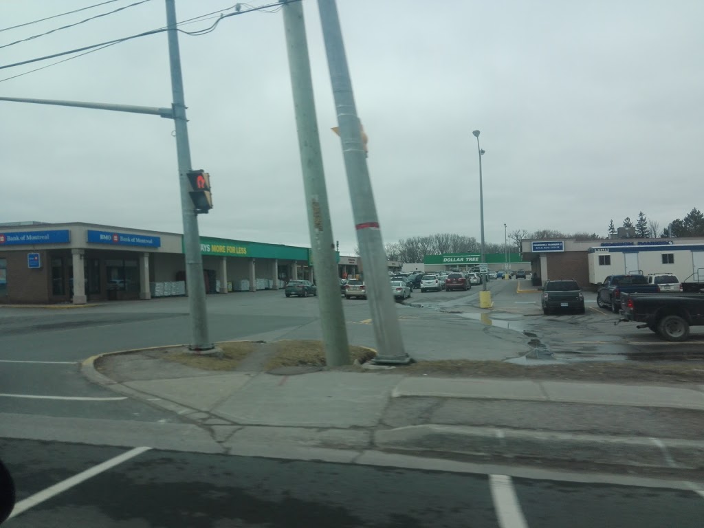 Dollar Tree | Highway 7A, 1894 Scugog St, Port Perry, ON L9L 1H7, Canada | Phone: (905) 985-6529