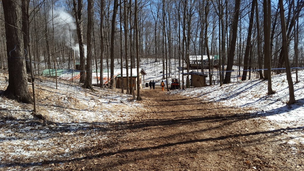 Purple Woods Conservation Area | 38 Coates Rd E, Oshawa, ON L1H 7K4, Canada | Phone: (905) 579-0411