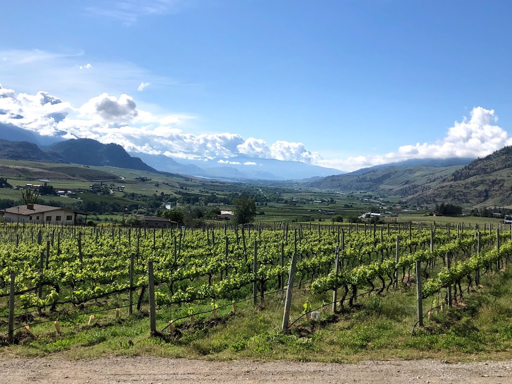 Checkmate Artisanal Winery | 4799 Wild Rose St, Oliver, BC V0H 1T1, Canada | Phone: (250) 707-2299