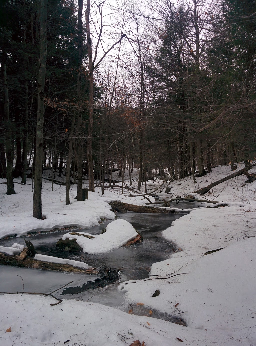 Reserve Naturelle gault | 422 Chemin des Moulins, Mont-Saint-Hilaire, QC J3G 4S6, Canada | Phone: (450) 467-4010