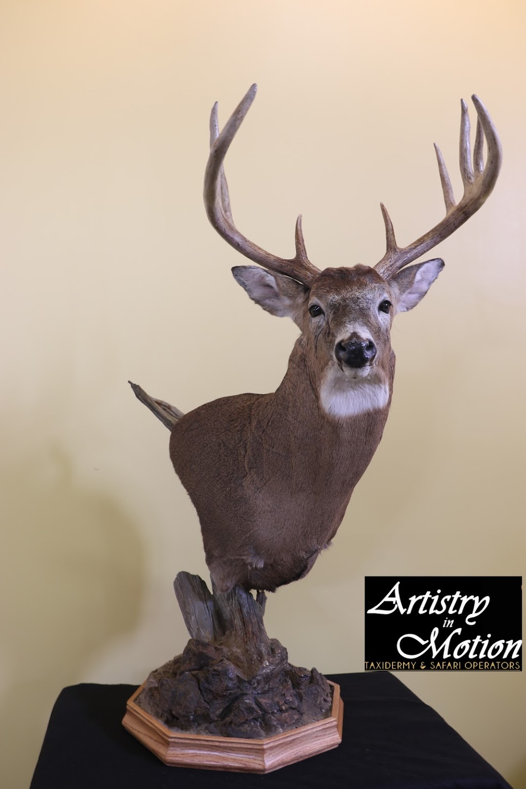 Artistry In Motion Taxidermy- Canadas Largest Taxidermy Studio | 347 Durham Regional Rd 8, Uxbridge, ON L9P 1R1, Canada | Phone: (905) 852-1119