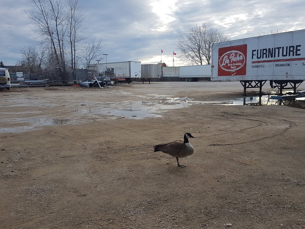 Camp Arnes | 121121 Private 222 Road, Arnes, MB R0C 0C0, Canada | Phone: (204) 338-4647