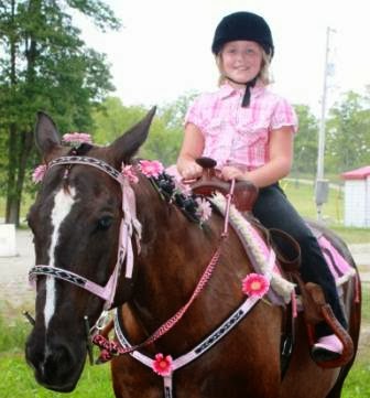 BNR Stables | 2250 Balfour St, Fenwick, ON L0S 1C0, Canada | Phone: (905) 892-7433
