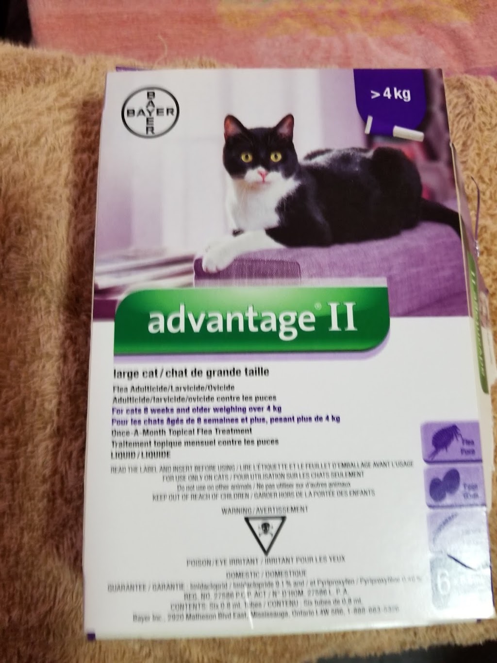 Markdale Veterinary Services | 26 Main St E, Markdale, ON N0C 1H0, Canada | Phone: (519) 986-2800