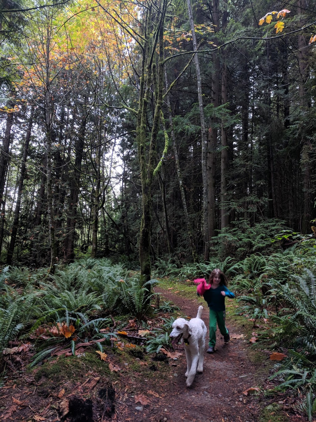 Sprockids park | 1235 Stewart Rd, Gibsons, BC V0N 1V0, Canada | Phone: (604) 885-6800