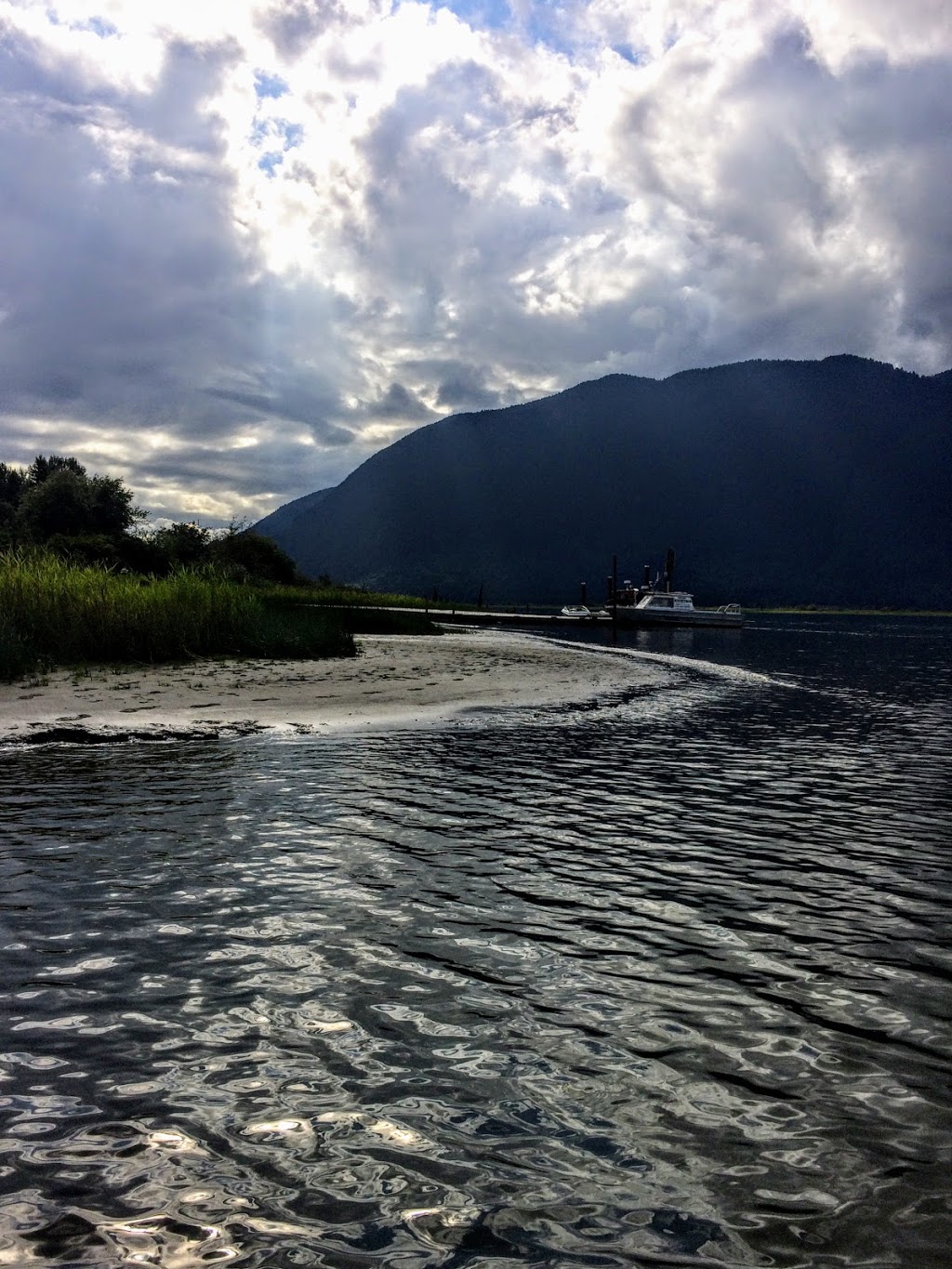Pitt Polder Ecological Reserve | Pitt Meadows, BC V3Y, Canada