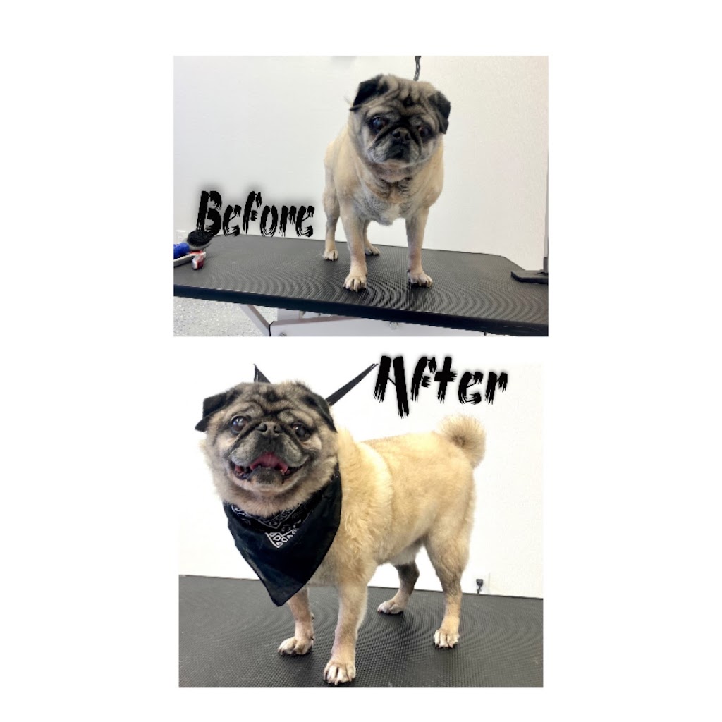 Scruffy To Fluffly by Shian | 95 Dufferin St, Perth, ON K7H 3A5, Canada | Phone: (613) 246-1145
