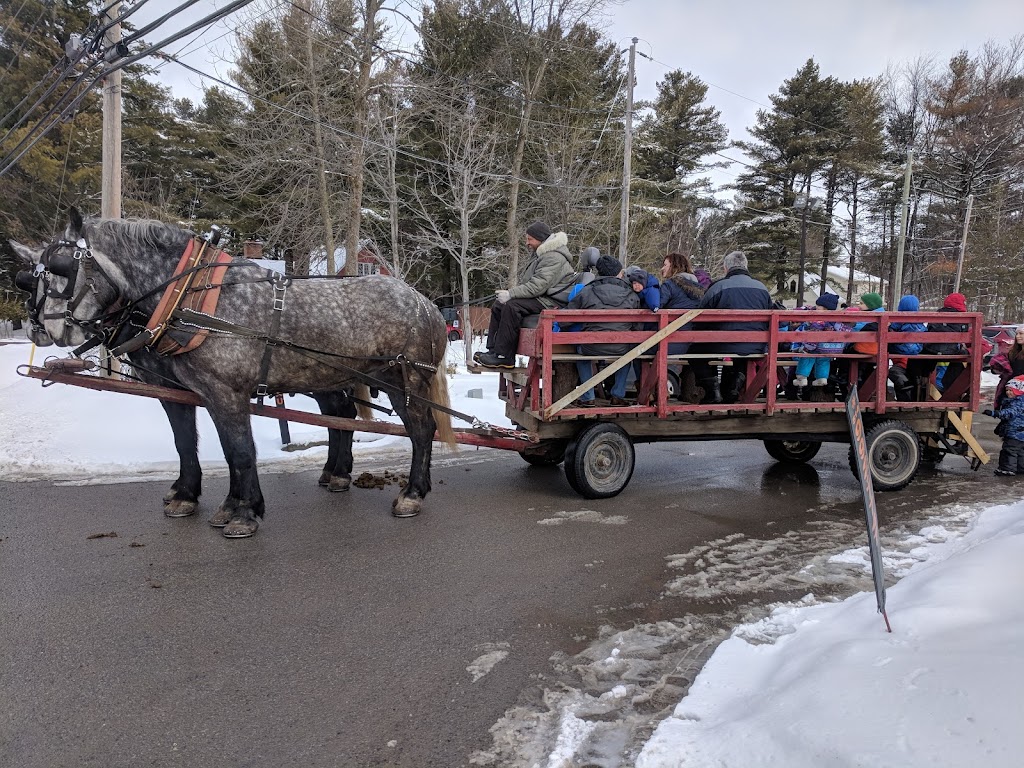 Garderie Enfantastix | 1439 Chemin Ste Angélique, Saint-Lazare, QC J7T 1Y9, Canada | Phone: (450) 455-0707