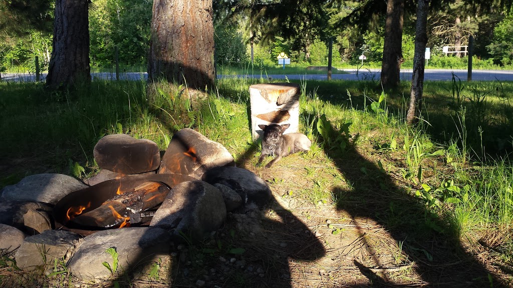 Quilakwa RV Park | 20 Enderby Grindrod Rd, Enderby, BC V0E 1V4, Canada | Phone: (250) 838-2022