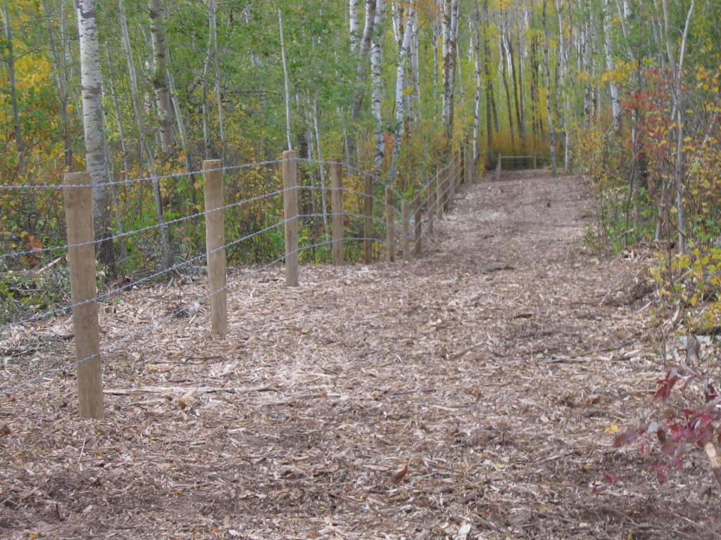Horizon Clearing Inc | 3901 54 Ave NE, Calgary, AB T3J 3W5, Canada | Phone: (403) 369-5500
