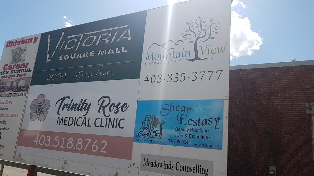 Shear Ecstasy Beauty Boutique | 2034 19 Ave Unit 204, Didsbury, AB T0M 0W0, Canada | Phone: (403) 335-0244