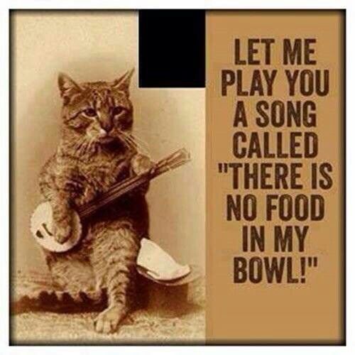 LOVE TO PLAY GUITAR | 107 Sherman Ave S, Hamilton, ON L8M 2P7, Canada | Phone: (905) 741-1547