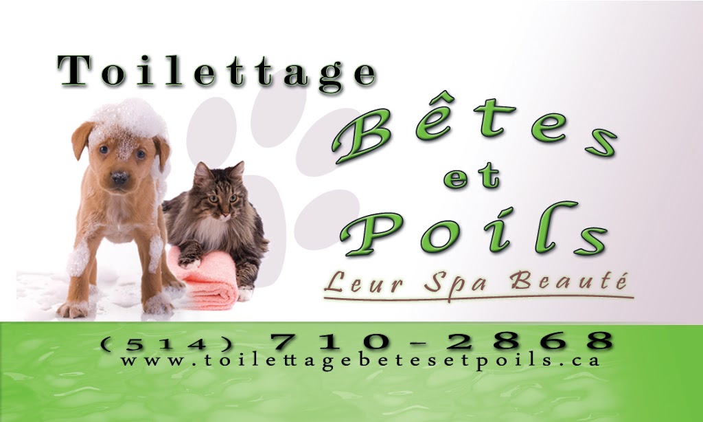 Toilettage Betes et Poils | 53 Rue St Pierre Local 101, Saint-Constant, QC J5A 1B9, Canada | Phone: (514) 710-2868
