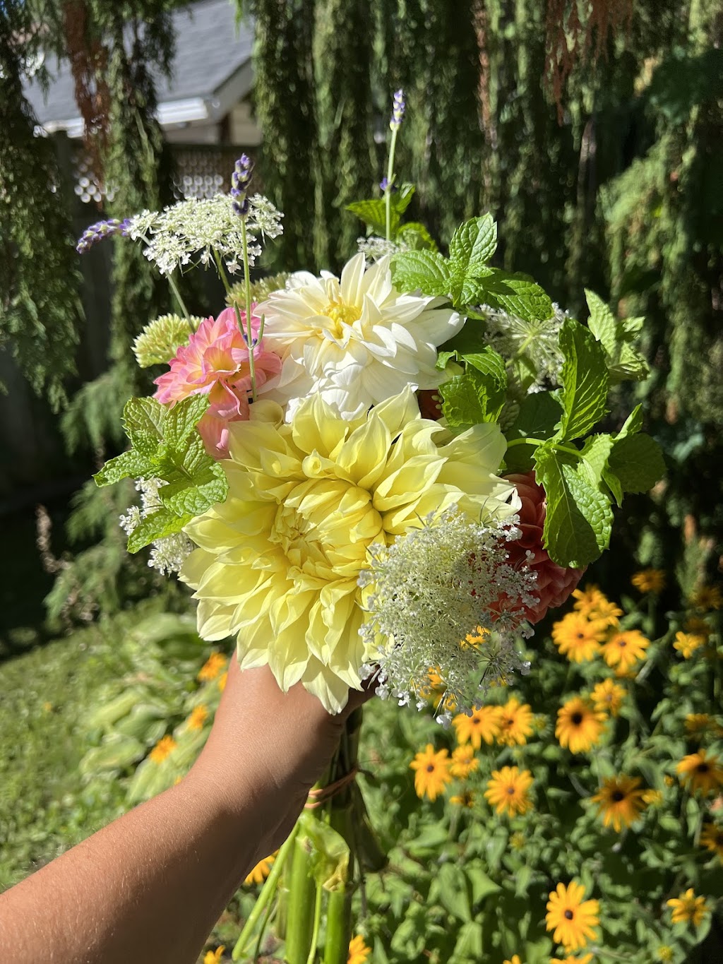 The Farmers Daughter Fruit & Flower Farm | 4162 Lakeshore Rd, Newtonville, ON L0A 1J0, Canada | Phone: (905) 441-5200