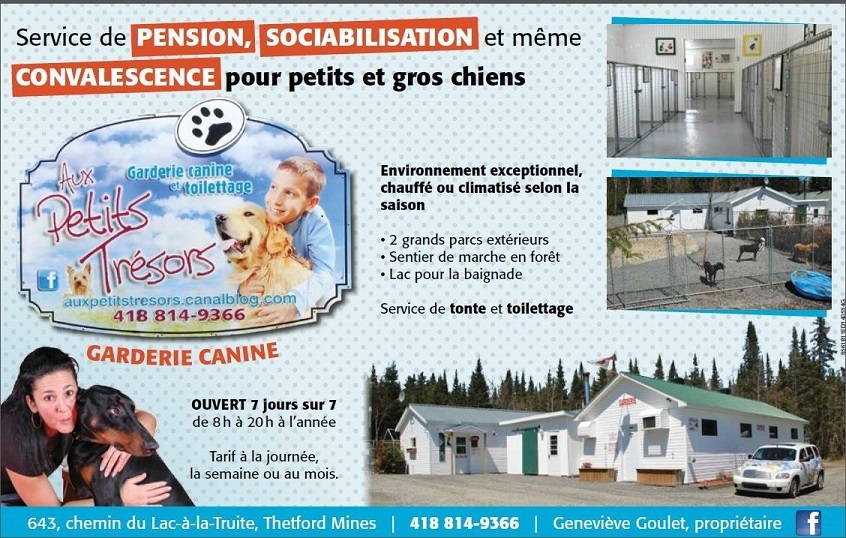 Garderie Canine aux Petits Trésors | point of interest | 643 Chem. du Lac à la Truite, Thetford Mines, QC G6G 5R7, Canada | 4188149366 OR +1 418-814-9366