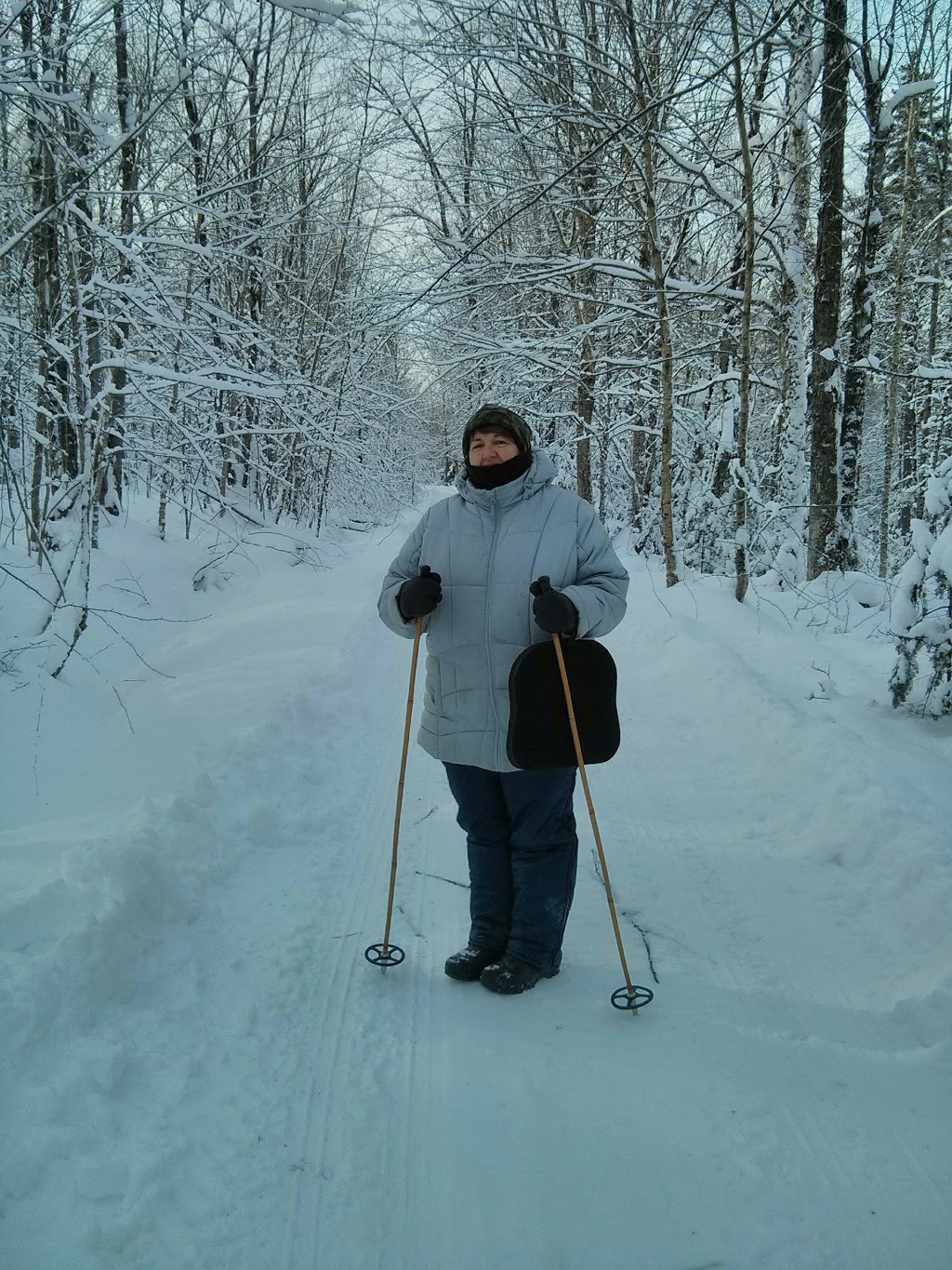 Érablière David Picard | 1500 chemin Frenette, Ham-Nord, QC G0P 1A0, Canada | Phone: (819) 446-0029