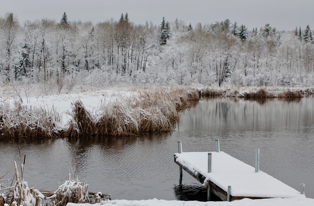 Lac du Bonnet Community Development Corporation | 4187 - Unit A, MB-317, Lac du Bonnet, MB R0E 1A0, Canada | Phone: (204) 213-0033