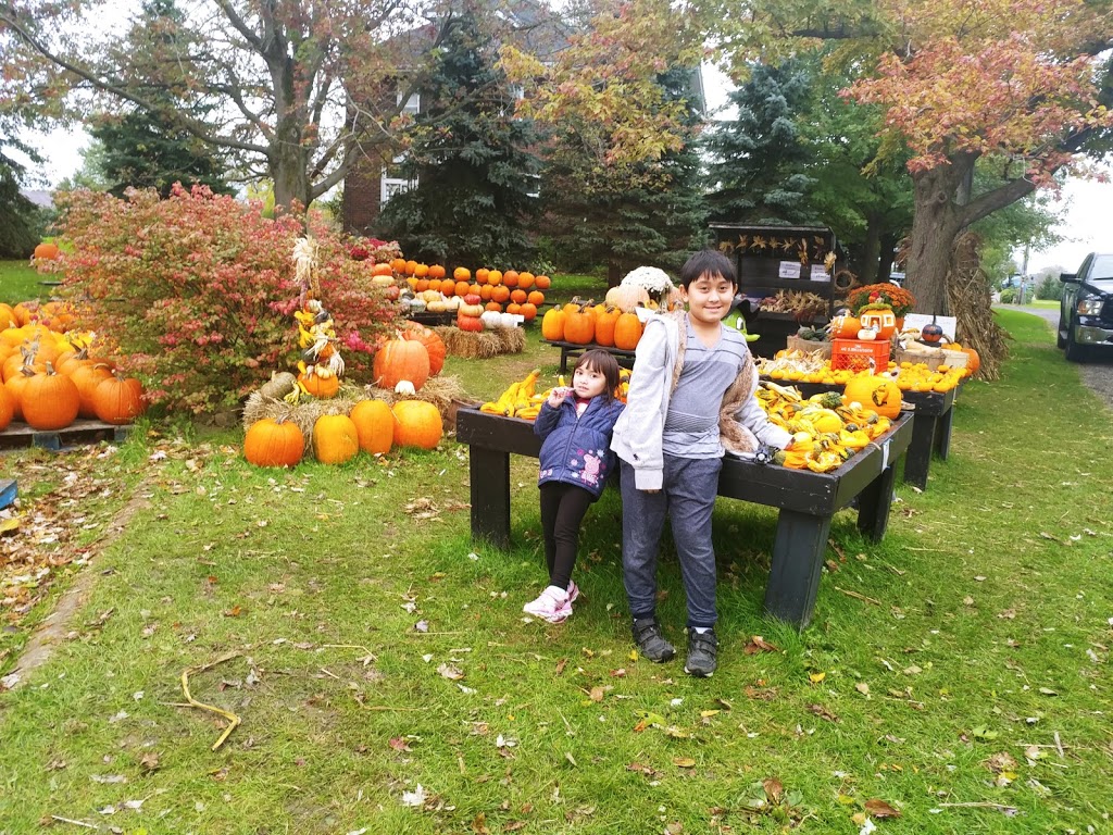 Fehrhaven Farms | 1577 ON-3, Port Colborne, ON L3K 5V3, Canada | Phone: (905) 834-6440