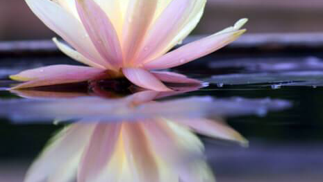 Sounds Good Therapies | 10988 Berger Rd, Powell River, BC V8A 0L7, Canada | Phone: (778) 522-9642