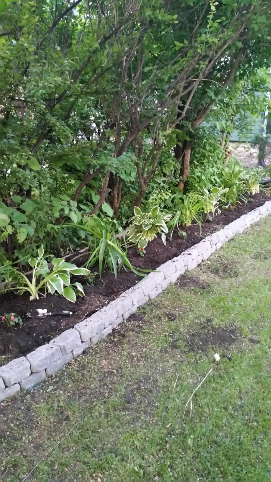Bloom N Yard | 32 3 St, Starbuck, MB R0G 2P0, Canada | Phone: (204) 792-8645